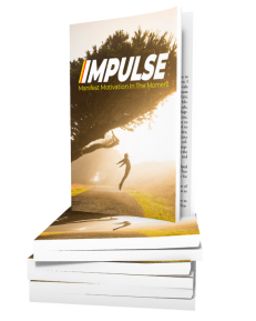 Impulse - Master Motivation In The Moment book cover