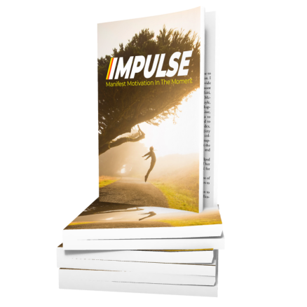 Impulse - Master Motivation In The Moment book cover