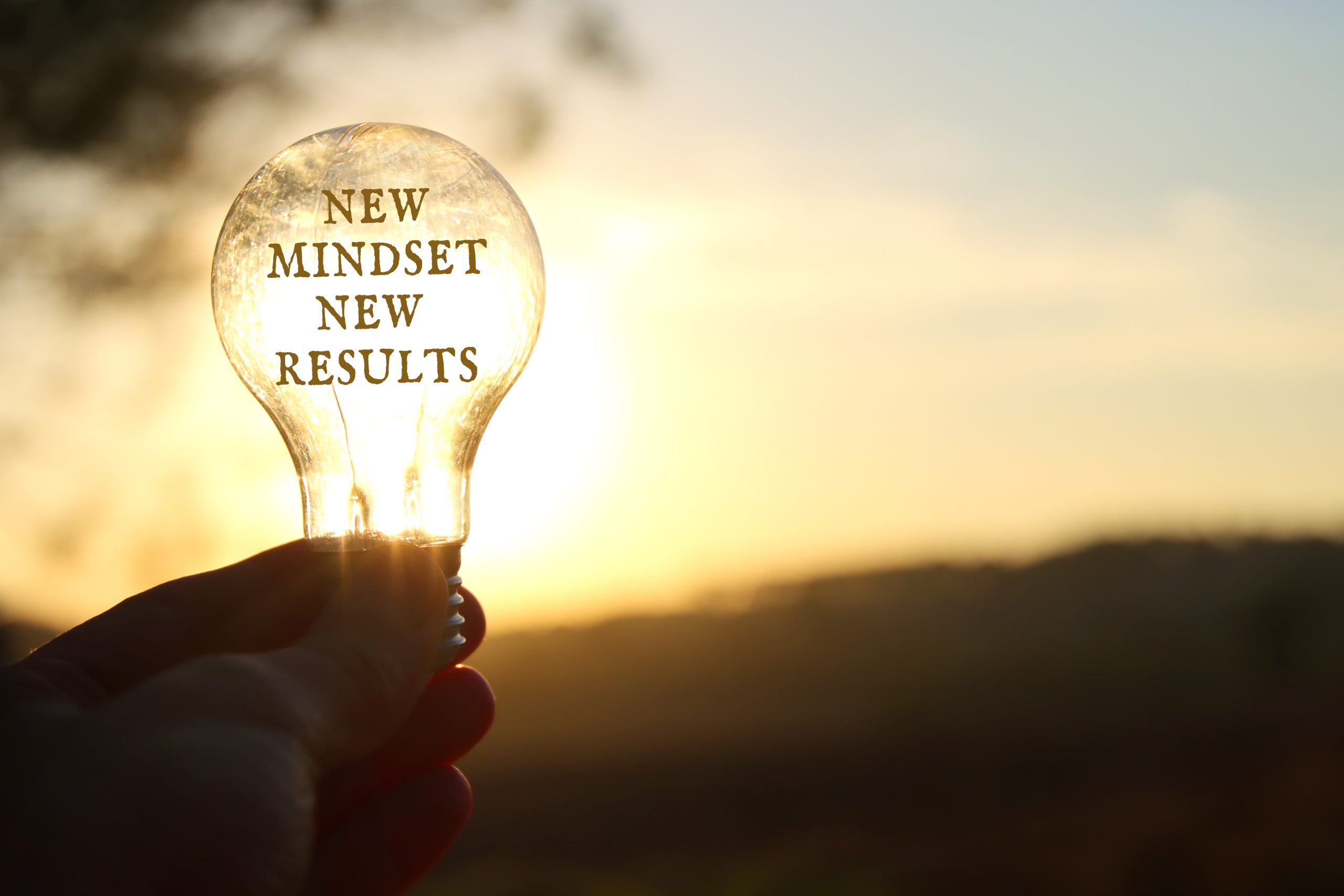 Picture of hand holding light bulb with caption new mindset new results